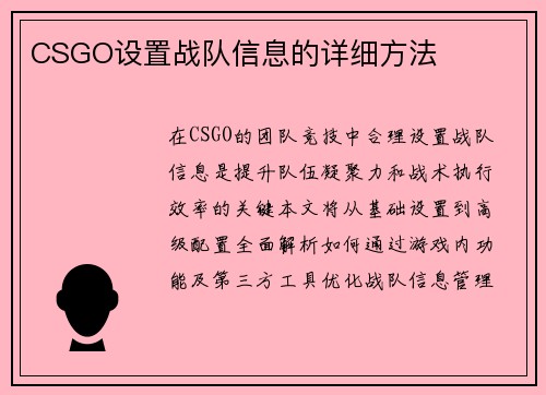 CSGO设置战队信息的详细方法